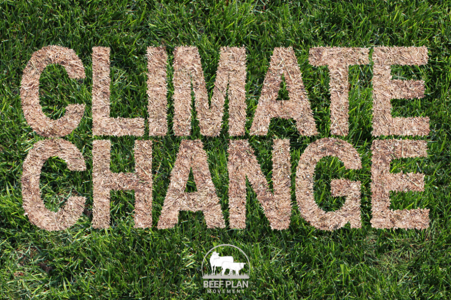 Climate change on green grass
