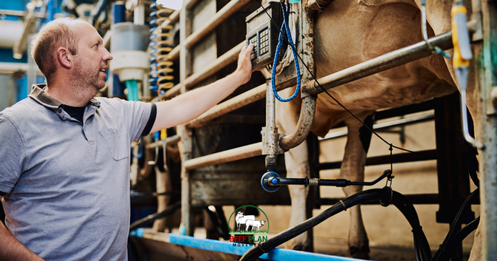 Upcoming SCEP Scheme Weighing & Genotype Deadlines